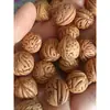Almohada de Durazno Pequeña Semillas de Nuez Semillas Sueltas Nueces Pequeñas Materia Prima de Nuez Almohada Cervical Silvestre Funda de Almohada Relleno de Almohada Nuez