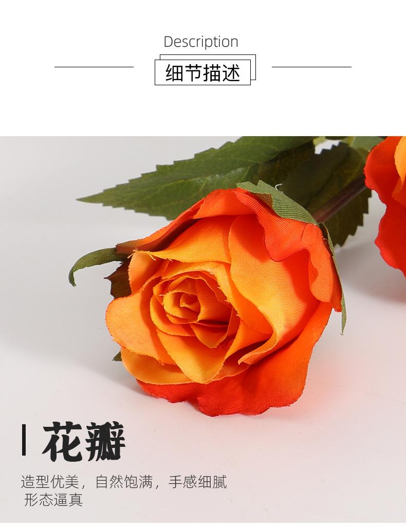 详情_08.jpg