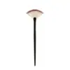 Nuevo Pincel Grande de Ventilador Solo Pincel de Alto Brillo Pincel para Retoques Faciales Pincel Iluminador Facial Pincel Suave Herramienta de Maquillaje Flam