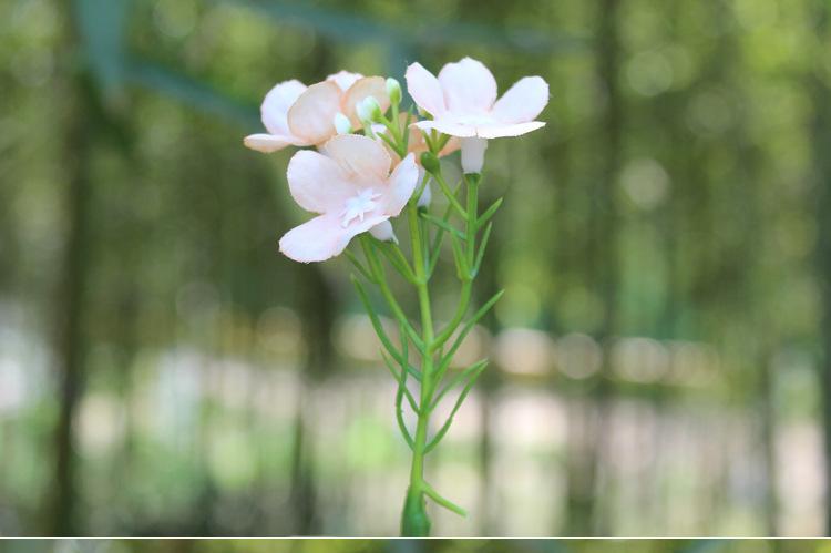 125-花草_14.jpg