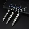 Modelos asequibles de 6.0 pulgadas de tijeras para aseo de mascotas curvas y rectas con dientes curvos y dientes de espina de pescado, Set con logo personalizado