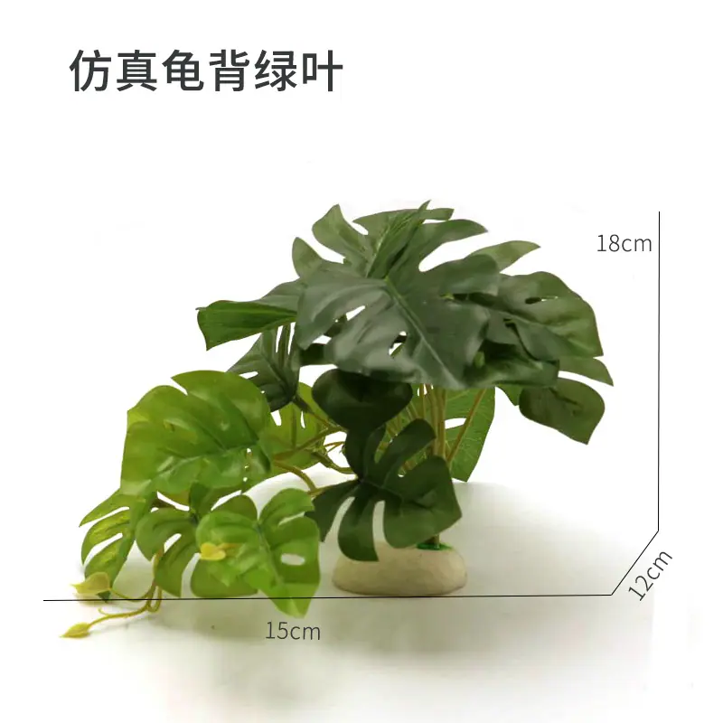 仿真龟背绿叶