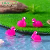 Transfronterizo Nuevo Producto Creativo Muñeco Flamenco DIY Accesorios de Decoración Mini Escritorio Micro Paisaje Resina Pequeños Adornos