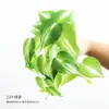 Simulación Bosque Caucho Suave Tacto Mano Hoja Falsa Paisaje Colgante Pared Fondo Pared Oficina Guardería Rincón Plantas Decoración