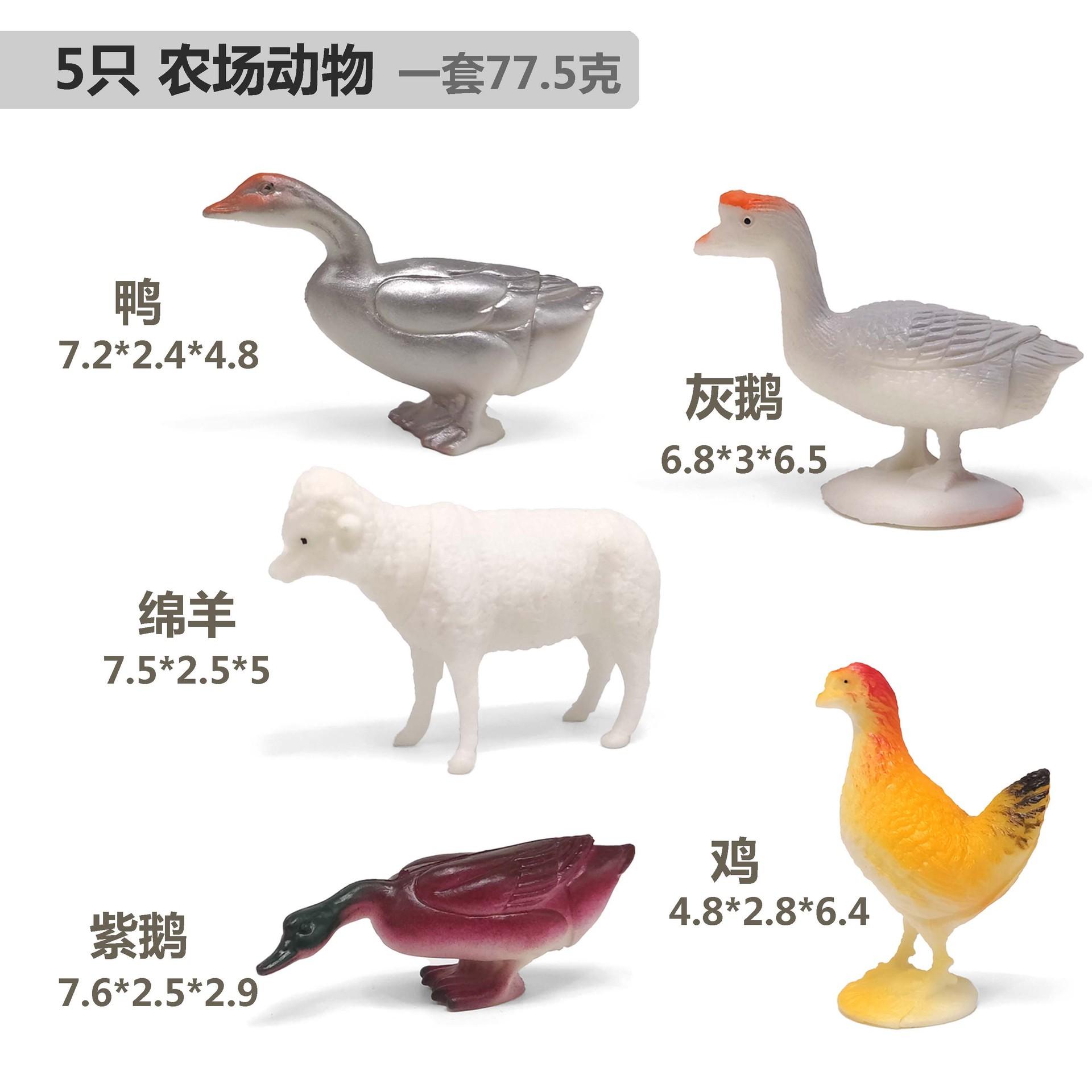 5只中农场羊尺寸图