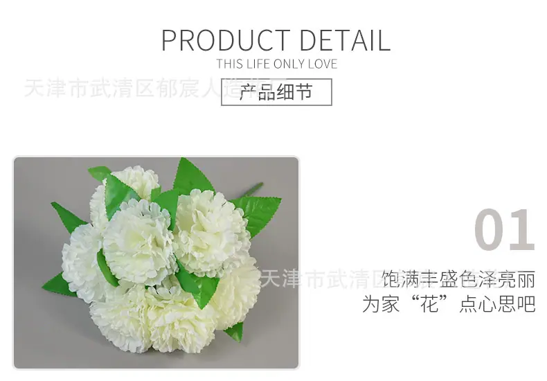 详情_11.jpg