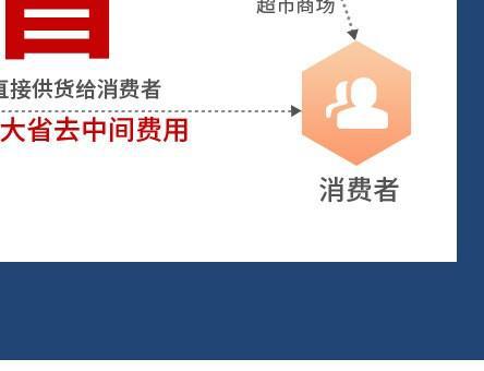 防走光贴-详情_36a.jpg