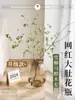 Decoración de Jarrón de Bambú de Lujo para Sala de Estar, Arreglo Floral Estilo Lujo Ligero, Botella de Vidrio Acrílico para Hidroponía