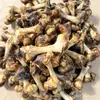 Nuggets de Frango Liofilizados para Animais de Estimação, Nuggets de Frango Liofilizados no Atacado, Petiscos para Gatos, Peito de Frango, Filé de Frango, Carne Moída de Frango, Peso Líquido