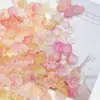 Nueva Serie Gradiente Escarchado Pegamento Crema Rosa Funda para Teléfono Móvil para Bricolaje Mixto Venta Caliente de TikTok