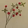 Galhos de Frutas para Véspera de Ano Novo Maçã Simulada Galhos de Romã Simulados Galhos de Frutas Caqui Caqui Ruyi Fa Cai Frutas Galhos de Pêssego