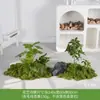 Musgo Sintético Decoración Suave para Interiores Conjunto de Micro Paisaje Combinación Exhibición en Ventana Pasillo Musgo Artificial Plantas Verdes Arreglo de Paisajismo Decoración