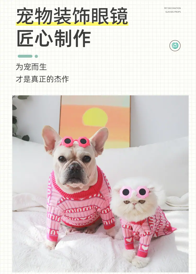 宠物塑料眼镜1_03.png