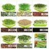 Bandeja Grande Espesada para Germinar Brotes en Casa, Bandeja de Cultivo de Plántulas, Base Plana de Bandeja, Maceta Hidropónica Reutilizable para Flores