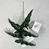 Nuevo producto transfronterizo: planta verde artificial, planta de taro grande, decoración de escritorio y sala de estar para el hogar, decoración de pasillo de boda, planta en maceta