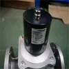 Válvula de Solenoide con Brida Integrada 2W-F Válvula de Solenoide con Brida 2W Completamente de Cobre Válvula de Solenoide con Brida de Acero Inoxidable 2W