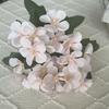 Begonia de 5 Pétalos Flor Manzana Pequeña Ins Amazónico Floral Flor Artificial Flor de Seda Venta al por Mayor Traje de Flor Artificial Fábrica Venta Directa