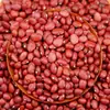Lentilhas vermelhas pequenas grande quantidade de excelentes feijões vermelhos planos seleção de feijões vermelhos novas lentilhas vermelhas lentilhas feijões vermelhos