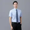 Camisas Masculinas, Camisas Brancas de Manga Longa Masculinas, Camisas Masculinas de Verão Antirrugas Respiráveis Absorventes de Suor, Camisas Masculinas Atacado com Logo Bordado