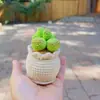 Plantas Pequeñas Suculentas Tejidas a Crochet de Lana Hechas a Mano, Lindos Adornos de Escritorio Simulados de Suculentas Que Nunca Se Marchitarán