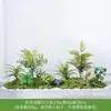 Paisagismo com Plantas Verdes Paisagismo de Sala de Estar Interna Paisagismo sob a Janela da Escada Arranjo de Decoração Plantas Artificiais Biônicas