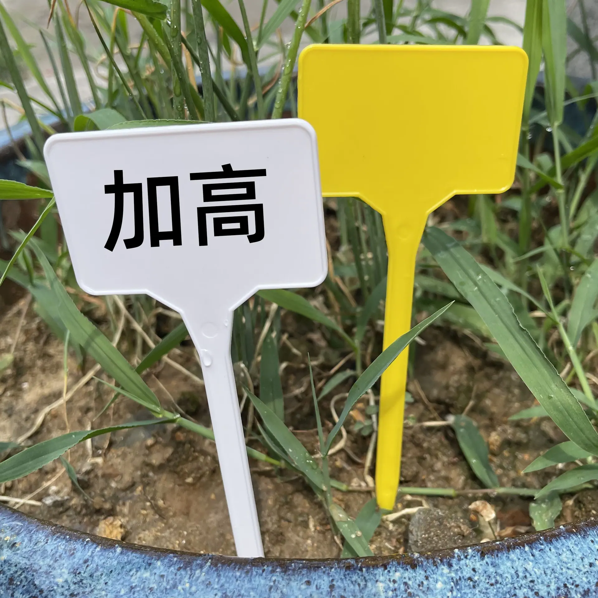 主图2