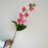 Flor artificial ramo único jasmim casamento cerimonial teto flor arte decoração suave estrada chumbo alto arranjo de flores hotel casa exibição