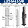 Lwx60 Cremallera de Engranajes de Carrera Larga Deslizador de Ajuste Fino Canal de Cola de Cola Eje X/Z Soporte de Cámara Deslizador para Máquina de Cribado CCD