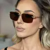 Gafas de Sol Poligonales Irregulares Sin Marco 2026 Nuevas Gafas de Sol Retro Tendencia Gafas de Sol de Gama Alta para Mujer