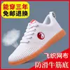 Zapatos de Malla para Tai Chi de Verano, Zapatos de Artes Marciales con Suela de Goma, Superficie de Malla Transpirable, Zapatos para la Práctica de Tai Chi, Zapatos Deportivos Unisex