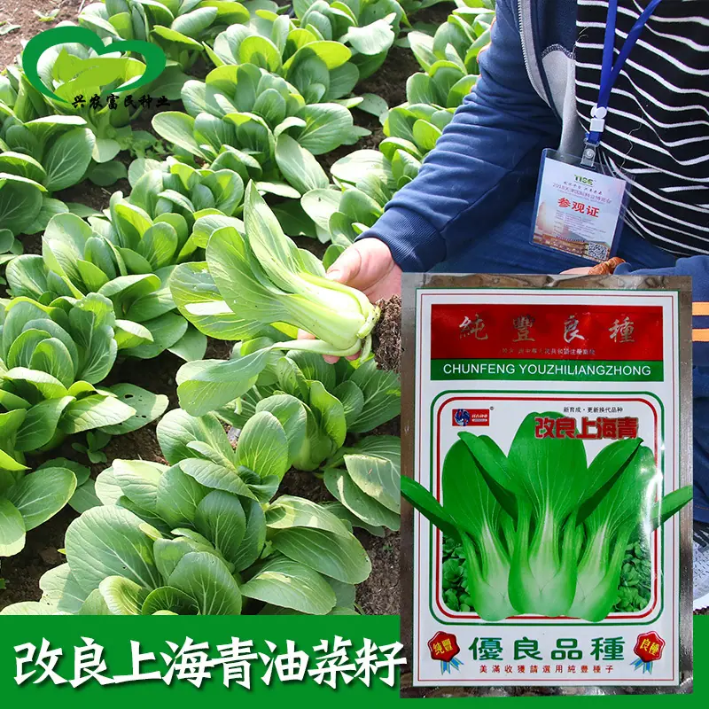 主图1-副本