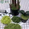 Musgo de Seda Artificial Simulado Diseño de Paisaje DIY Césped Verde de Seda Musgo Decoración en Maceta Musgo de Lana para Pavimento