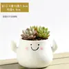 Maceteros de Cerámica Rebaja Grande Maceteros para Suculentas Diseño Único Creativo Simple Venta al por Mayor