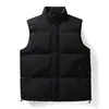 Chaleco de Algodón de Invierno al por Mayor Transfronterizo para Hombre Talla Grande Chaleco Térmico Ropa de Abrigo de Terciopelo con Cuello Alto Chaleco Chaqueta