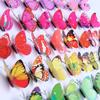 Accesorios de mariposa de simulación de PVC de 6 cm fabricantes pegatinas decorativas creativas para refrigerador mariposa magnética de color tridimensional biónica lote