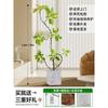 Forma de Hoja de Flor Árbol de Caucho Baniano Dorado Sala de Estar Planta Verde Baniano Rico Interior Oficina Planta Verde Planta Grande en Maceta