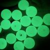 Acessórios de Pesca Contas Brilhantes Contas Fluorescentes para Isca Caixa Acessórios Contas Luminosas para Pesca Marítima Acessórios para Isca Atacado