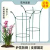 Jaula de Protección para Orquídeas Transfronteriza, Amarilis, Lirio, Soporte para Plantas Verdes, Estante Circular de Hierro Multicapa Anticaídas