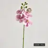 Orquídea Phalaenopsis Artificial Pequena Realista com Efeito Hidratante, Flor Artificial para Decoração de Casa, Sala de Chá, Zen, Orquídea Phalaenopsis Artificial Realista ao Toque 3D