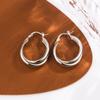 Pendientes estilo francés de alta calidad, lujo ligero, para mujer, elegantes, a la moda, aretes de aro, diseño de nicho, elegantes, únicos, suéter de otoño e invierno