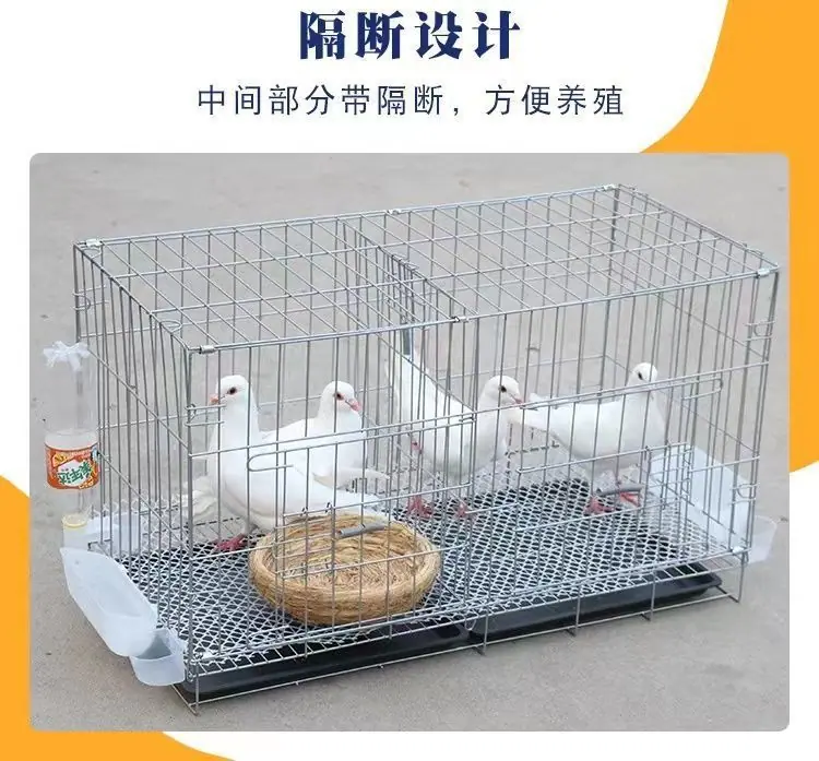 /O1CN0152FuJY1mS4Pd5Jp5V_!!2220762404952-0-cib.jpg