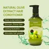 Champú de oliva OEM todo en inglés, personalizado para comercio exterior transfronterizo, champú suave y refrescante, controlador de grasa y reparador para exportación