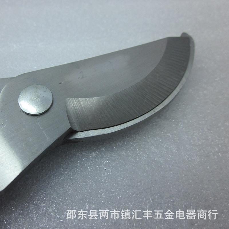 果剪2