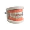 Brackets Molares Protectores Transfronterizos, Protectores Bucales Nocturnos para Dormir Molares, Almohadillas de Oclusión para Mandíbula de Adulto, Cubiertas Protectoras para Niños y Adultos