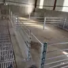 Poste de Valla para Chozo de Cerdos y Corral de Ovejas Instalación Rápida Tubo a Través de Poste Combinación Galvanizado en Caliente Barandilla para Chozo de Cerdos y Corral de Ovejas Renovación Ampliación Nuevo Recinto