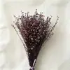 Fabricante Yongsheng Grãos de Acácia Absorventes de Cor, Grãos da Fortuna, Sementes de Gergelim, Materiais para DIY, Tampa de Vidro, Materiais para Atacado