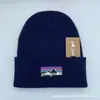 Gorro de Moda Nuevo para Otoño e Invierno Gorro Tejido Estilo Coreano Versátil Letra Gorro para el Frío Ocio al Aire Libre Cálido Gorro de Lana Protección para las Orejas
