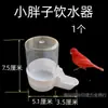 Suministros para Pájaros Utensilios Pinzas para Hueso de Jibia Cesta de Seda de Cáñamo Cesta para Verduras y Frutas Tenedor de Frutas Caja de Comida Bandeja para Huevos Metabo