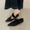 Sapatos de Inverno Femininos Elegantes Versáteis Pontudos Novos Peludos Sola Macia Camurça Pelúcia Boca Rasa Sapatos Individuais