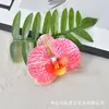 Flor de Orquídea Phalaenopsis Cabeça de Flor Simulação de Filme Impressa em 3D Flor Artificial Lembrancinhas de Festa de Casamento Decoração de Caixa de Doces Acessório de Cabeça DIY Presilha de Cabelo